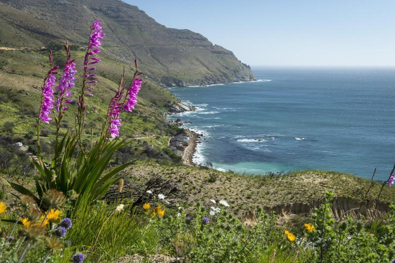 Tintswalo Atlantic Lodge *